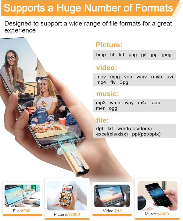 Sunany USB Flash Drive 256 GB for Phone and Pad, High Speed External Thumb Drives USB Memory Storage Photo Stick for Save More Photos and Videos (Gold) - Image 4